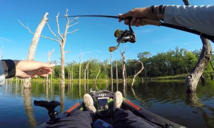 Lunkers TV – Backwater Bass Fishing