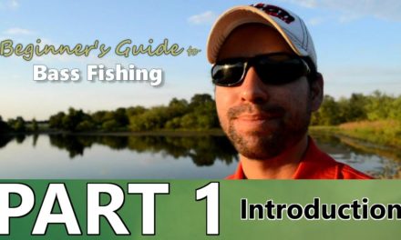 Beginner’s Guide to BASS FISHING – Part 1 – Introduction