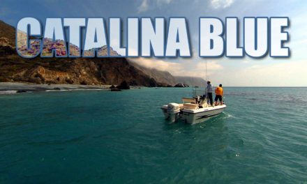 Calico Bass Fishing around Catalina Island California