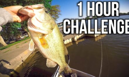 Catching GIANT Bass on Crankbaits – 1 HOUR CHALLENGE!!!