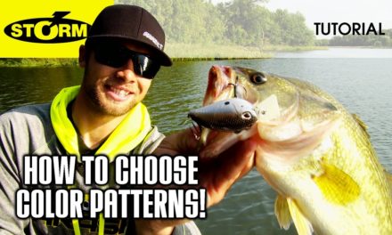 Changing up your color patterns: HOW TO FISH