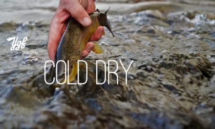 Dan Decible – Cold Dry: Winter Dry Fly Fishing