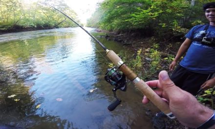 Lunkers TV – Creek Bass Fishing with Light Tackle