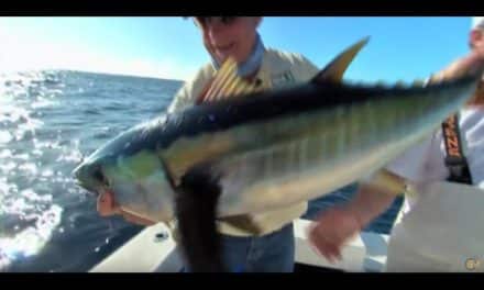 Addictive Fishing | Deep Sea Fishing Venice la sportsman – Tuna Fishing