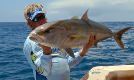 Addictive Fishing | Deep Sea Fishing for Monster Fish – Grouper Snapper and Amberjack