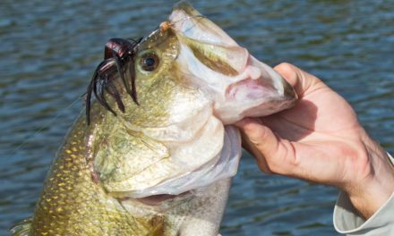 LakeForkGuy – Fishing Buzz Baits for Big Bass | Lure Tips and Tricks