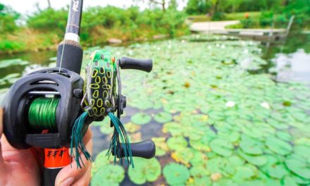 Flair – Fishing for BIG Bass in PADS!!!