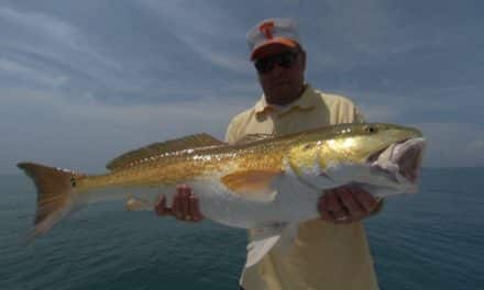 Fishing for Bull Reds and Jack Crevalle on the Space Coast with Bill Dance
