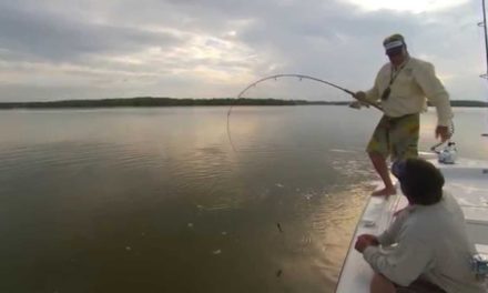Addictive Fishing | Fishing for Monster Tarpon in the Florida Everglades with DOA Lures