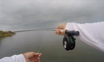 LakeForkGuy – Fishing in Front Hurricane Harvey – AMAZING Bass Feeding!