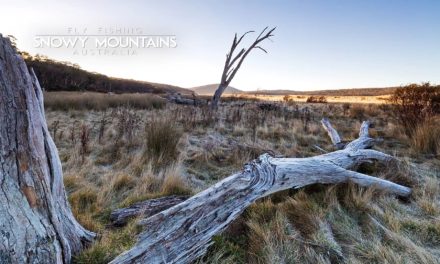 Dan Decible – Fly-Fishing in the Snowy Mountains