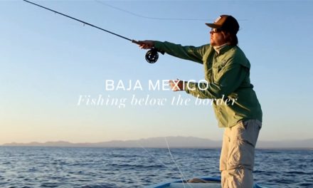 Dan Decible – GREAT DAYS 9: Fishing below the border