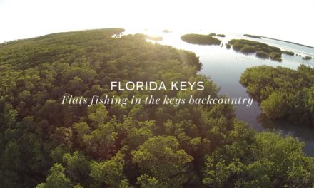 Dan Decible – Great Days 5: Florida Keys Flats Fishing