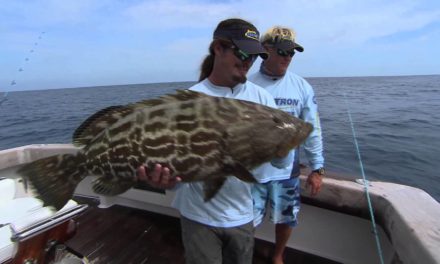 Grouper Fishing and Snapper Fishing the Dry Tortugas Key West Florida