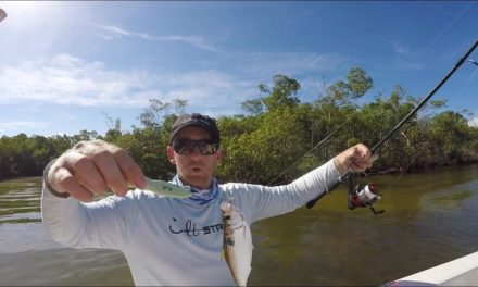 How To Catch Threadfin Using A Sabiki Rig