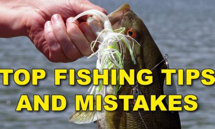 How to Catch Bass: Top Fishing Tips and Mistakes | Bass Fishing