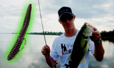 LakeForkGuy – How to Catch the Fish You Just Missed