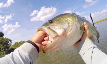 LakeForkGuy – How you Know it’s a BIG BASS!!
