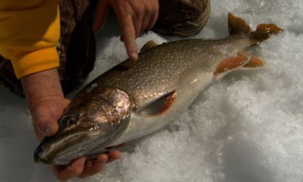Addictive Fishing | Lake Trout Ice Fishing in Granby Colorado and Skeet Reese Biggest Redfish