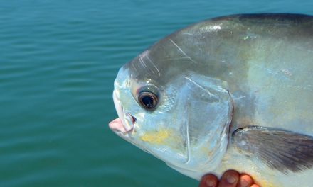 Addictive Fishing | Monster Permit on DOA Fishing Lures in Islamorada Florida Keys