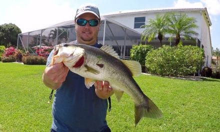 BlacktipH – Pond Fishing – Searching for my New PB Bass
