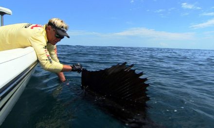 Addictive Fishing | Sailfish Fishing and Cobia Fishing in Stuart Florida
