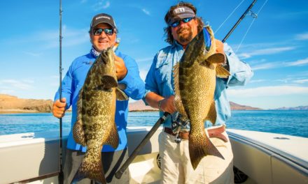 The Obsession of Carter Andrews – Sea of Cortez Grouper Preview – Episode 311