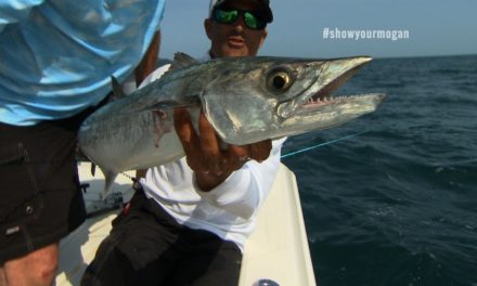 Addictive Fishing | Smoker Kingfish Fishing off of St Petersburg Florida