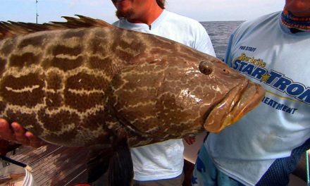 Addictive Fishing | Snapper Fishing and Grouper Fishing in Dry Tortuga National park