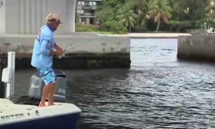 Addictive Fishing | Snook Fishing for 48″ Monster Fish in Stuart Florida