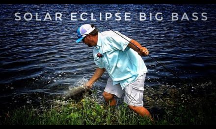 Scott Martin VLOG – Solar Eclipse Bass Fishing – Monster Bass Wading in a Pond