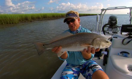 Addictive Fishing | South Carolina Fishing Shallow Oyster Bars and Flood Tide for Charleston Redfish