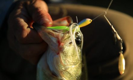 Mike Iaconelli Secret Tips & Tactics – Spinnerbait Fishing Tips for Bass with Mike Iaconelli