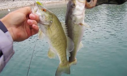 LakeForkGuy – Spring Bass Fishing for Largemouth and Smallmouth