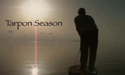 Dan Decible – Tarpon Season 2006: Key West Tarpon Fishing