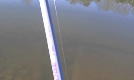 Testing out the Aaron’s Edge Enigma rod
