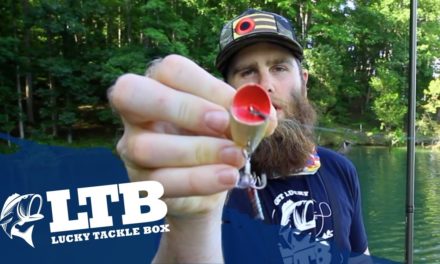 Topwater Tip #5 For Bass Fishing: How to Fish a Popper