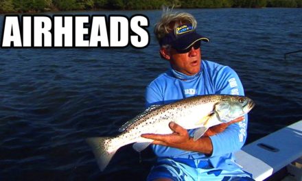 Trout fishing with DOA airheads in Vero Beach Florida