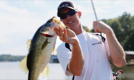 LakeForkGuy – Where the Big Bass Go After 8 Years