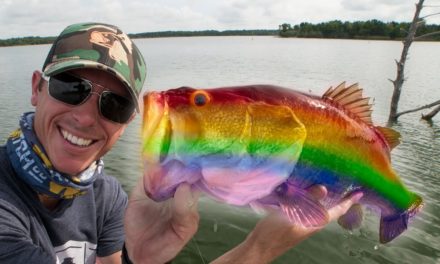 LakeForkGuy – Why are Bass Becoming Transgender?