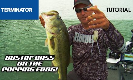 TOPWATER BASS BLOW UPS with the Terminator ®Popping Frog