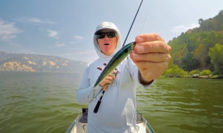 4 Jerkbaits You’ve Got To Try This Fall