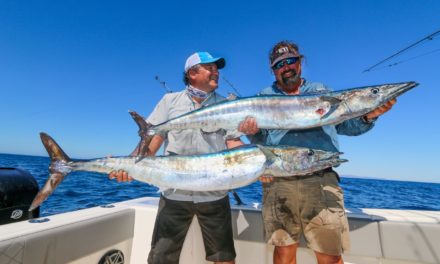 The Obsession of Carter Andrews – Baja California Wahoo Preview – Episode 310