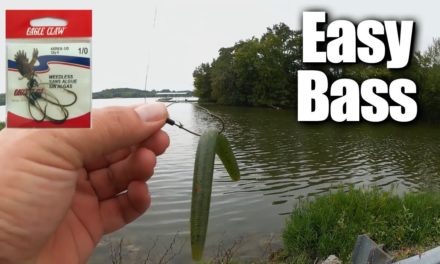 Easy Bass Fishing for ANYONE – Affordable Fishing for Beginners