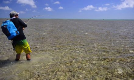 Dan Decible – FCA Pimp Out – Fly Fishing for Exotic Saltwater Fish