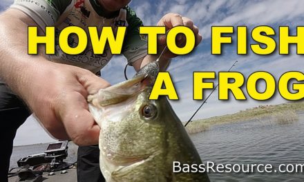 How To Fish A Frog | Bass Fishing