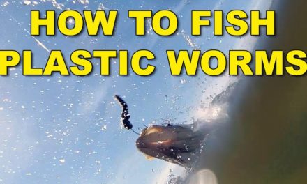 How To Fish Plastic Worms | Bass Fishing