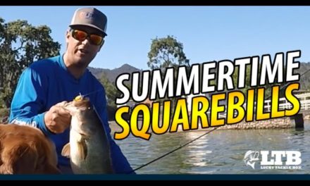 How To Fish Squarebills In Summer | Bass Fishing