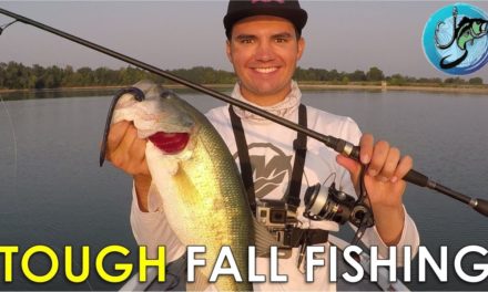 How To Make Inactive Fall Bass Bite! | Fall Fishing Tips