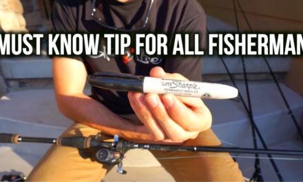 Flair – MUST KNOW TIP FOR ALL FISHERMAN – Bass Fishing Tips